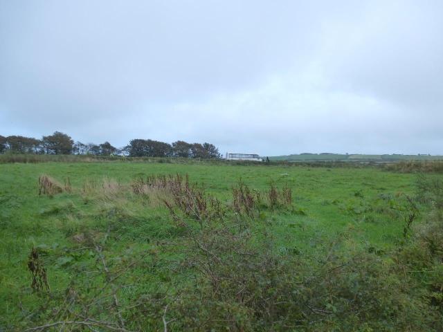 Photo of Wilderland Herb Farm, Bracken, Woolley, Bude, Cornwall